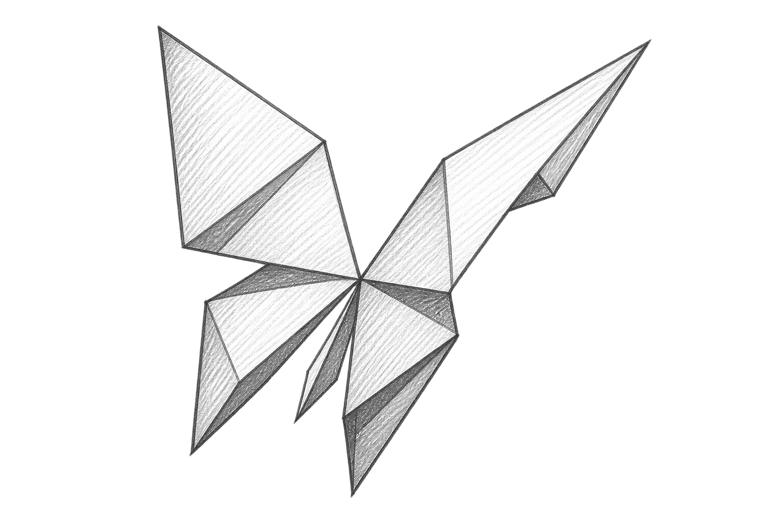 Developed geometric sketch of the Cloud Spectrum butterfly